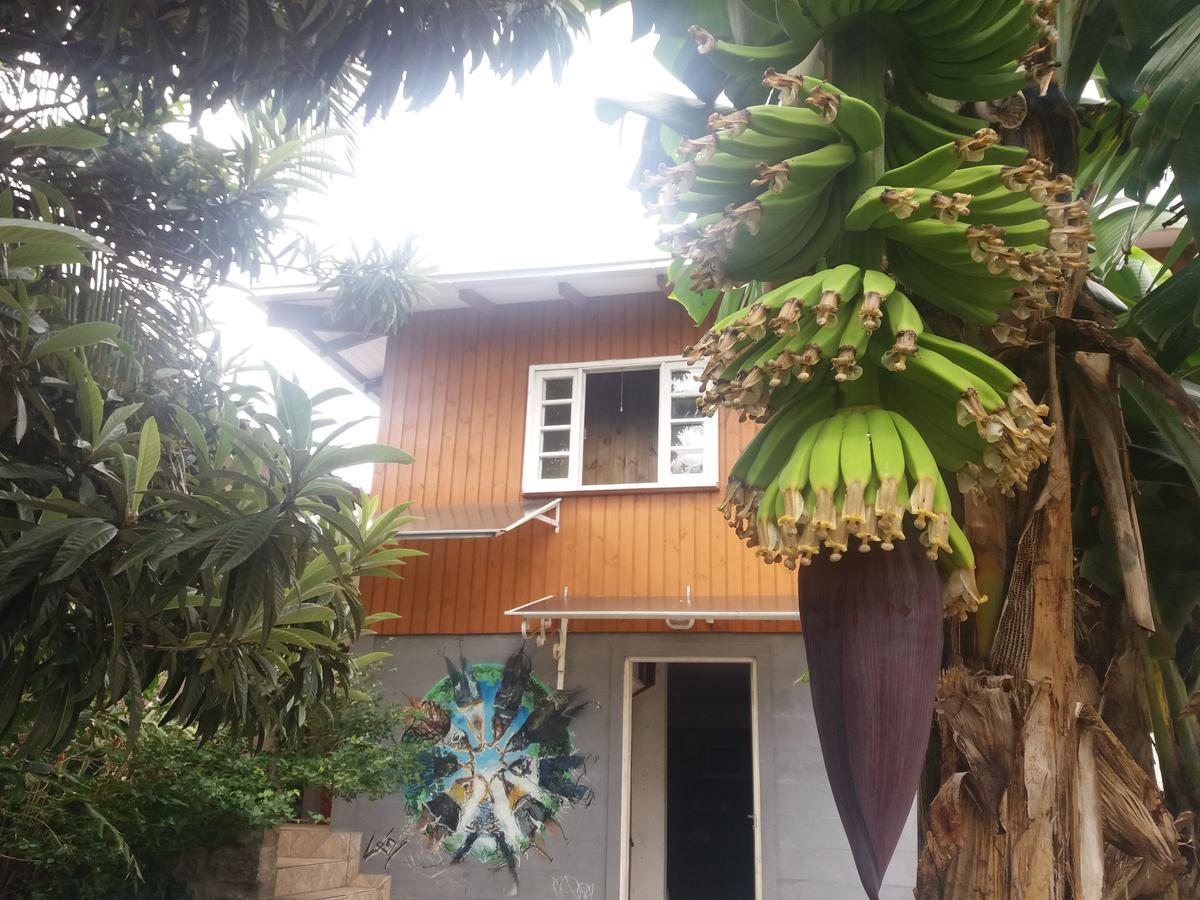 Hostel Casa Terra Florianópolis Екстериор снимка